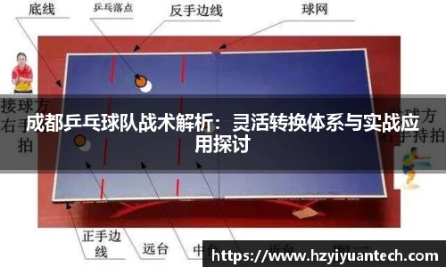 球速体育平台登录入口