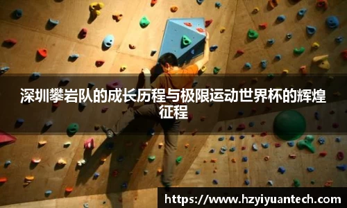 球速体育平台登录入口