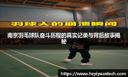球速体育平台登录入口